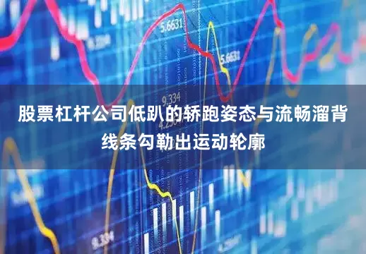 股票杠杆公司低趴的轿跑姿态与流畅溜背线条勾勒出运动轮廓